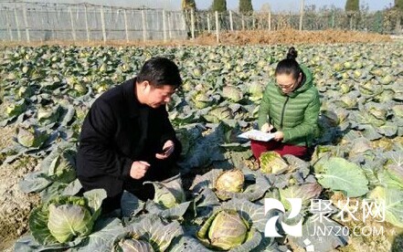 浙江杭州蕭山：節(jié)前蔬菜安全檢測不松懈