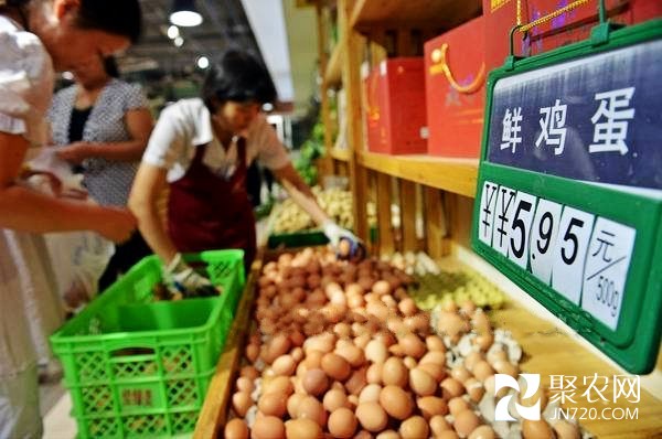 去年9月中旬以來全國雞蛋價(jià)格降幅超25%