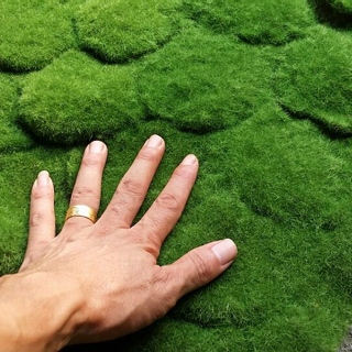 上饒市 仿真植物墻綠色假草坪 植毛海棉青苔草皮 苔蘚