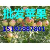 山東蘋(píng)果批發(fā)15192887801山東蘋(píng)果最新價(jià)格