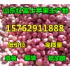 【紅富士蘋(píng)果降價(jià)】山東蘋(píng)果/紙袋/膜袋/紙加膜紅富士蘋(píng)果產(chǎn)地