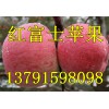 山東紅富士?jī)r(jià)格下滑/蘋(píng)果產(chǎn)地0.5價(jià)格