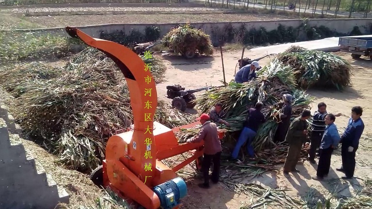 安陽(yáng)鍘草機(jī)飼料行業(yè)不斷的創(chuàng)新