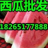 【今年山東優(yōu)質(zhì)西瓜最新價格】