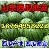 １８７６４９５８２２２油桃/山東蘋果/甜瓜/西瓜產(chǎn)地價(jià)格