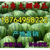 １８７６４９５８２２２油桃批發(fā)產(chǎn)地/山東蘋果/甜瓜/西瓜價(jià)格