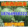 １８７６４９５８２２２油桃甜瓜西瓜產(chǎn)地報(bào)價(jià)/山東蘋果批發(fā)價(jià)格