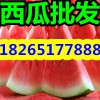 【大棚京欣西瓜最新價(jià)格】