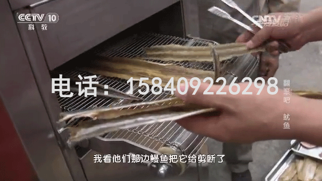 自動烤魚機，CCTV我愛發(fā)明烤魷魚絲機加盟，大連烤魚機