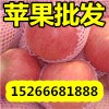 山東蘋果價(jià)格紅富士蘋果批發(fā)15266681888