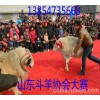 養(yǎng)殖100只小尾寒羊政府給補(bǔ)貼多少？