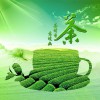 2016第十二屆北京國際茶業(yè)暨茶文化博覽會