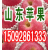 18615397873今日紅星蘋(píng)果產(chǎn)地直銷(xiāo)