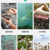 山東展鵬網(wǎng)業(yè)集團(tuán)有限公司與您相約2021廣州漁博會